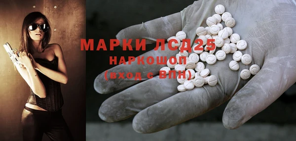 шишки Верхний Тагил