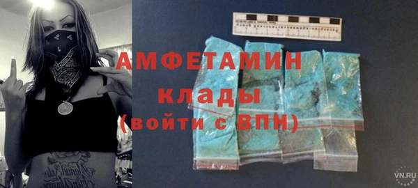 шишки Верхний Тагил