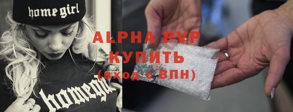 шишки Верхний Тагил