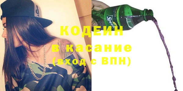 шишки Верхний Тагил