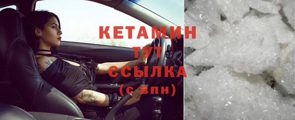 шишки Верхний Тагил