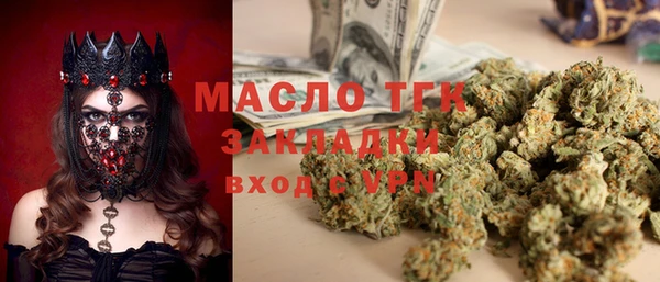 шишки Верхний Тагил
