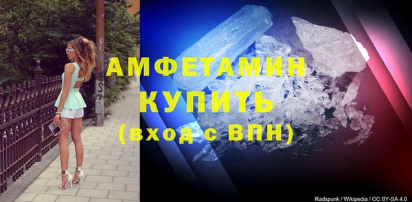 шишки Верхний Тагил